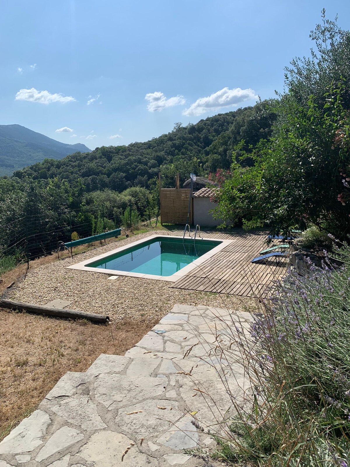 The outdoor space features a private pool surrounded by natural landscaping and wooden decking. Views of the mountains are highlighted in the background, with greenery framing the area, creating a sense of tranquility. The pathway leading to the pool is paved with stones.