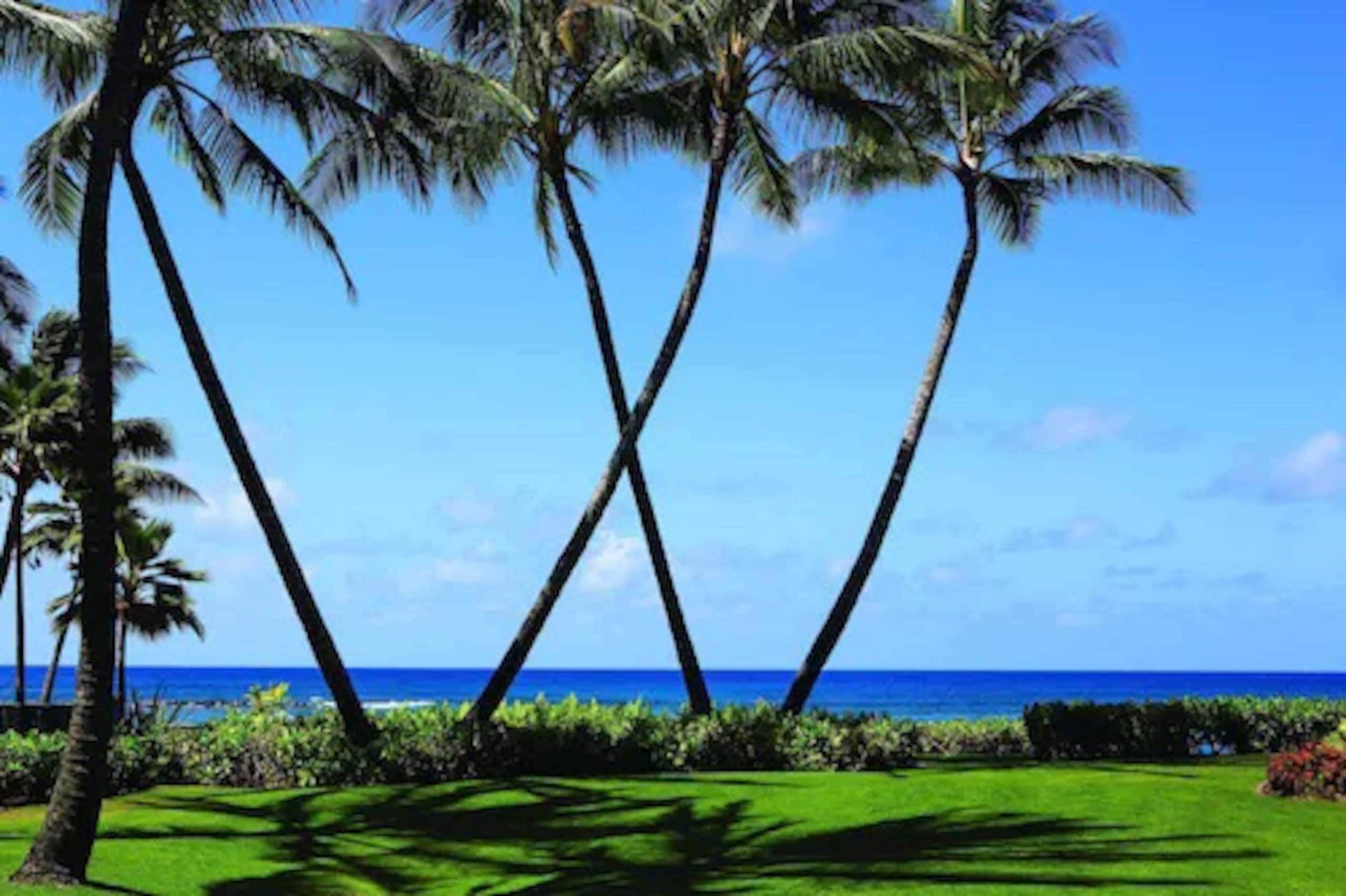 Condo in Koloa · ★5.0 · 2 bedrooms · 4 beds · 2 private baths - Image 13