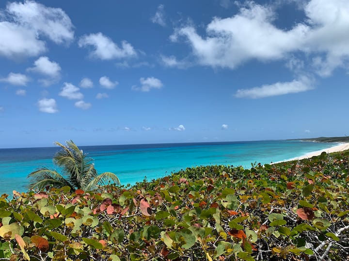 Eleuthera Alquileres vacacionales y alojamientos The Bahamas Airbnb