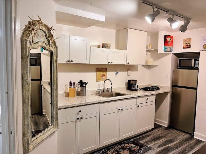 1bdr/1bthr Near Jax Downtown Pet Friendly 124b - Jacksonville, FL