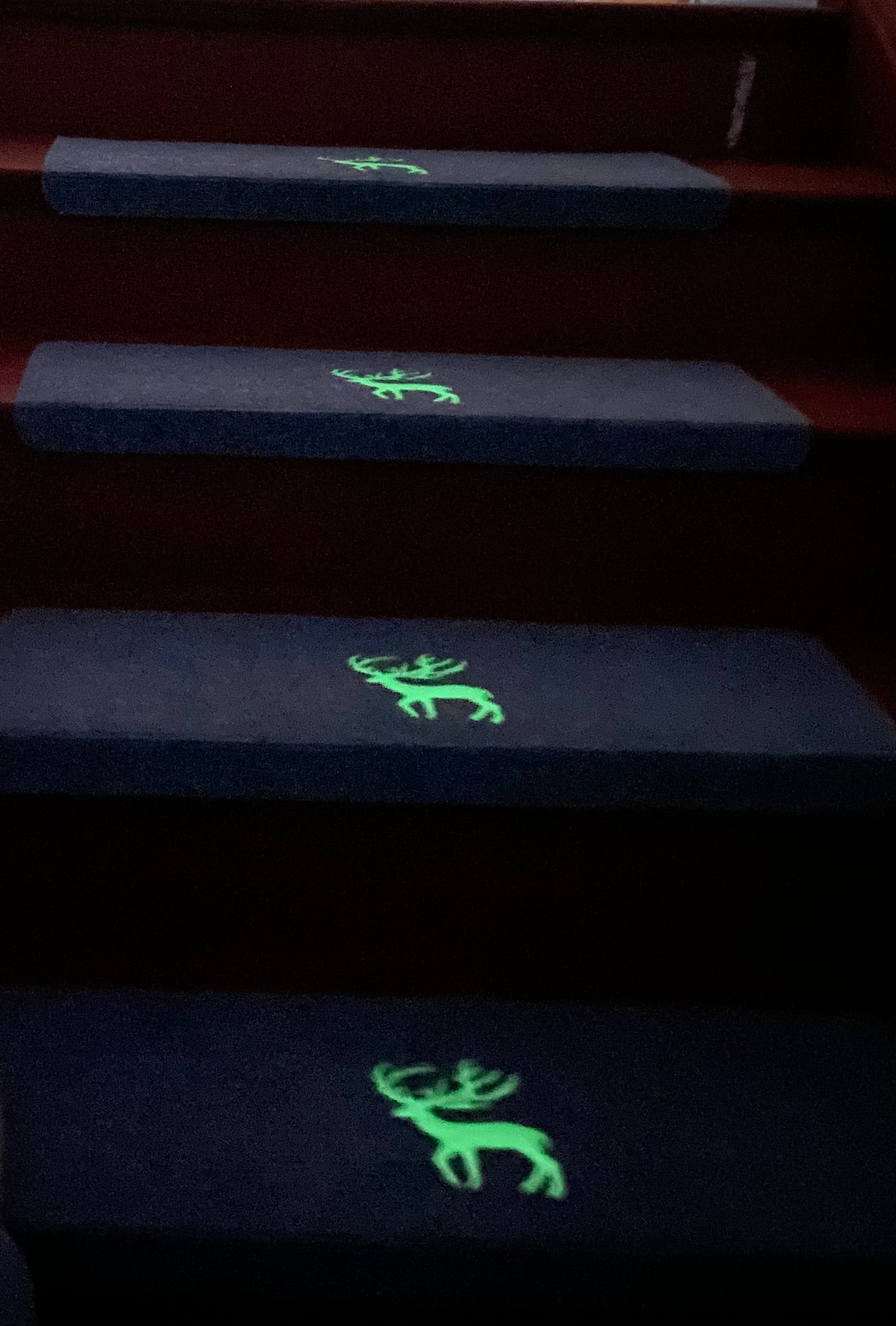 A staircase is featured with dark blue carpeting that has glow-in-the-dark deer silhouettes applied on each step, enhancing visibility at night. The setting provides a practical and playful touch for guests.