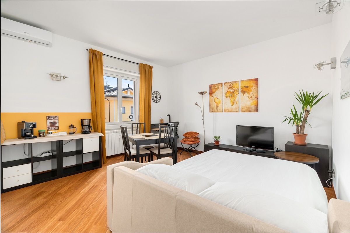 An open living area features a spacious bed and elegant furnishings, including a dining set and a flat-screen TV. A wall-mounted lamp provides ambient light, while a large window allows natural light to fill the room. Decorative artwork enhances the ambiance.