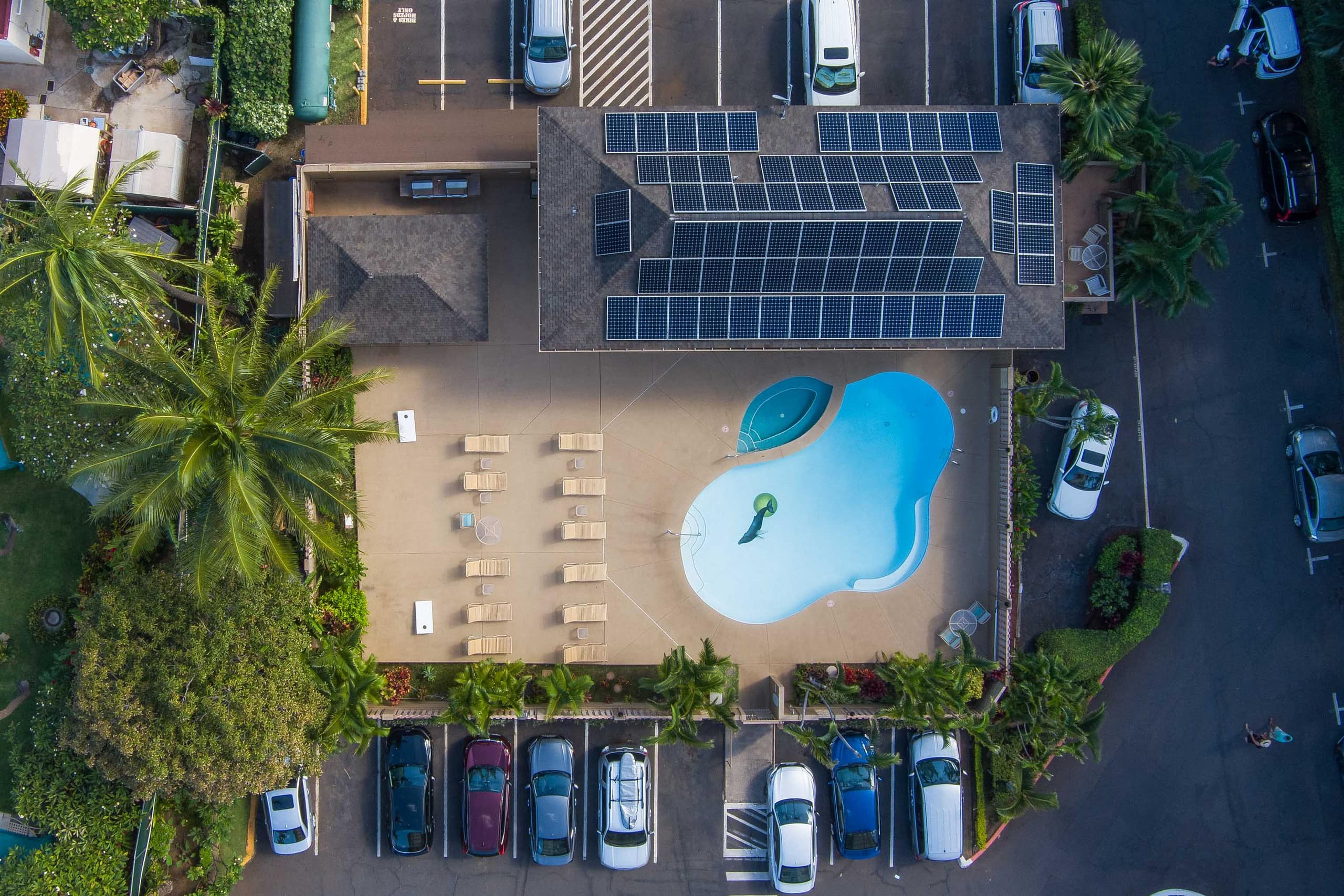 Condo in Lahaina · ★5.0 · 1 bedroom · 2 beds · 1 bath - Image 31
