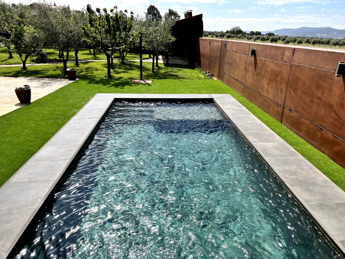 A tranquil swimming pool is surrounded by lush green grass, with olive trees visible in the background. The clear water reflects the sky above, and a modern stone terrace frames the pool area, enhancing the sense of openness and tranquility.