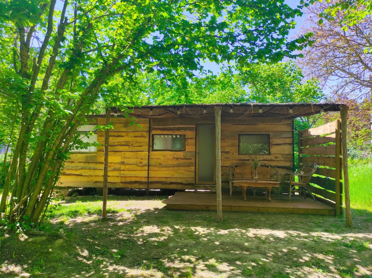 A wooden cabin is surrounded by greenery, featuring a sheltered porch with seating. Large windows allow natural light to enter, while the rustic siding adds character to the structure. The area is open and inviting, evoking a connection to the surrounding nature.