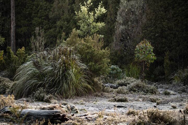 Blackjack – Deluxe Chalet gallery image 3