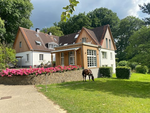 Studio house on an idyllic equestrian facility