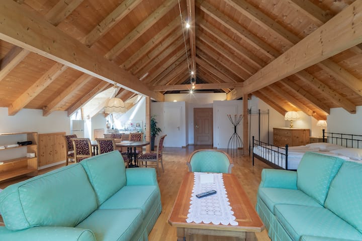 Atelier Apartment - Castel Pienzenau B&b - Merano