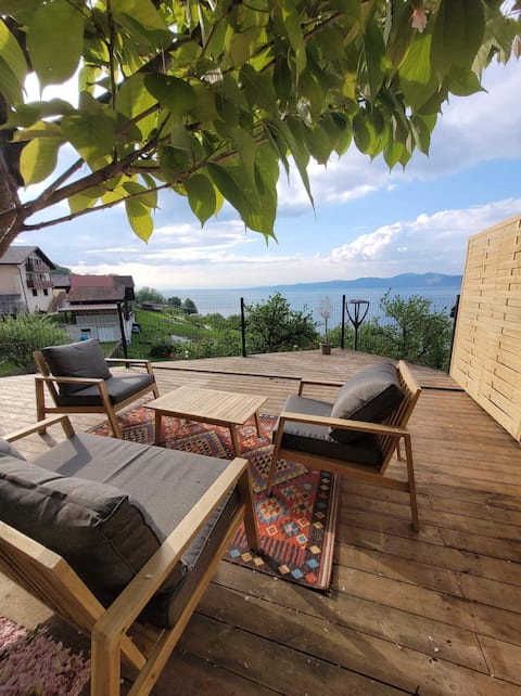 The terrace of Lake Geneva