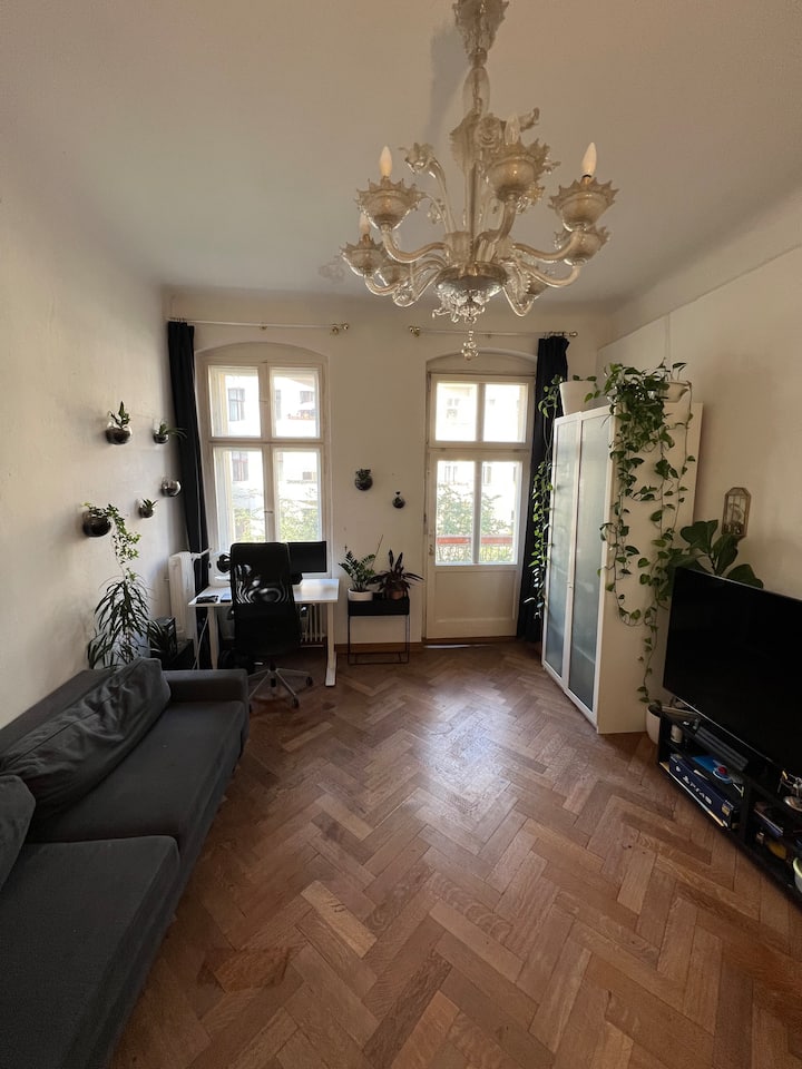Bright, large room in the heart of Kreuzberg Apartments for Rent in Berlin, Berlin, Germany