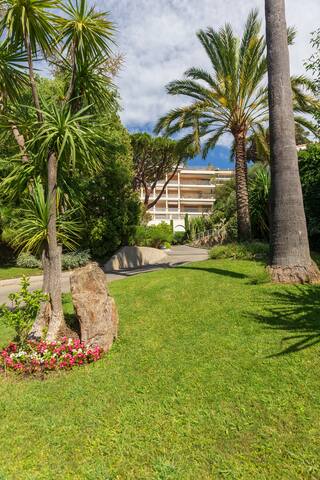 Listing in Cannes