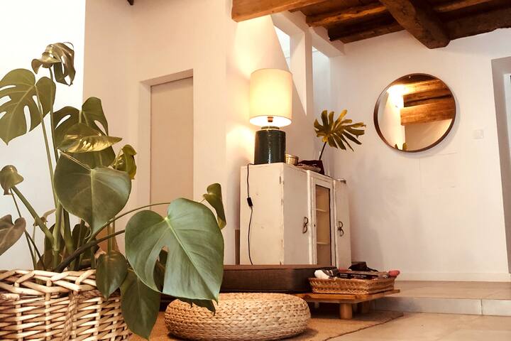 A Casa da Monstera gallery image 2