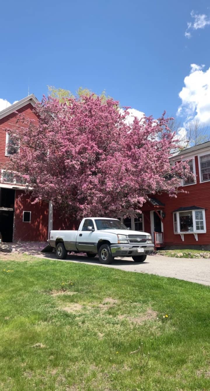 FernHill Farm Bed & Breakfast Mt Washington Room Bed and breakfasts