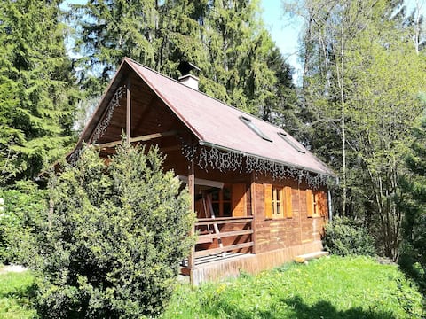 Chata Sport Vysočina