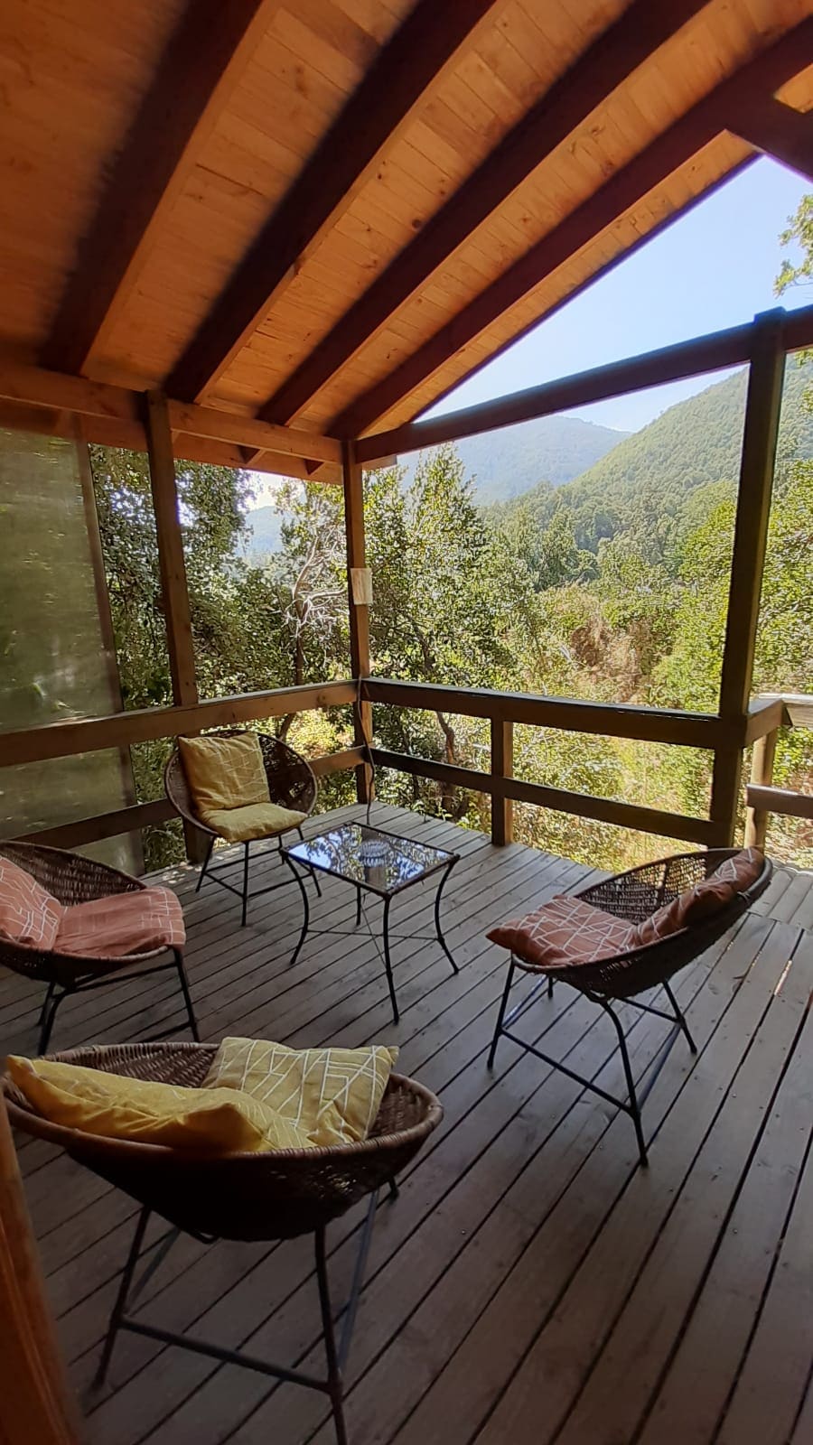 A screened porch features four wicker chairs with colorful cushions arranged around a glass-top table. Lush green trees and distant mountains are visible through the screen, enhancing the connection to the surrounding nature.