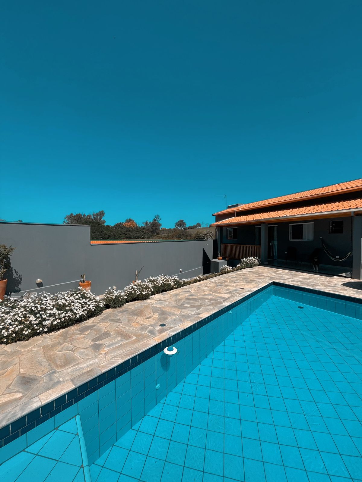 A clear blue swimming pool is surrounded by decorative stone tiles, reflecting the bright sky above. Lush white flowers line the pool's edge, leading to a well-maintained house with a terracotta roof. The overall scene conveys a peaceful outdoor space ideal for relaxation.