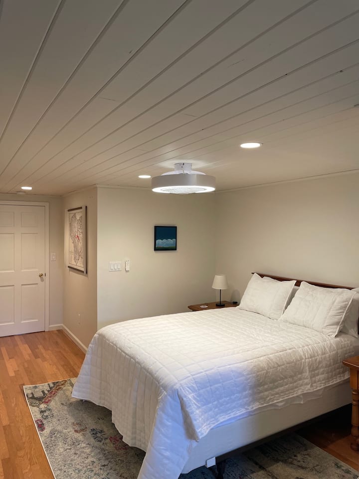 large bedroom with en suite bathroom in the finished basement