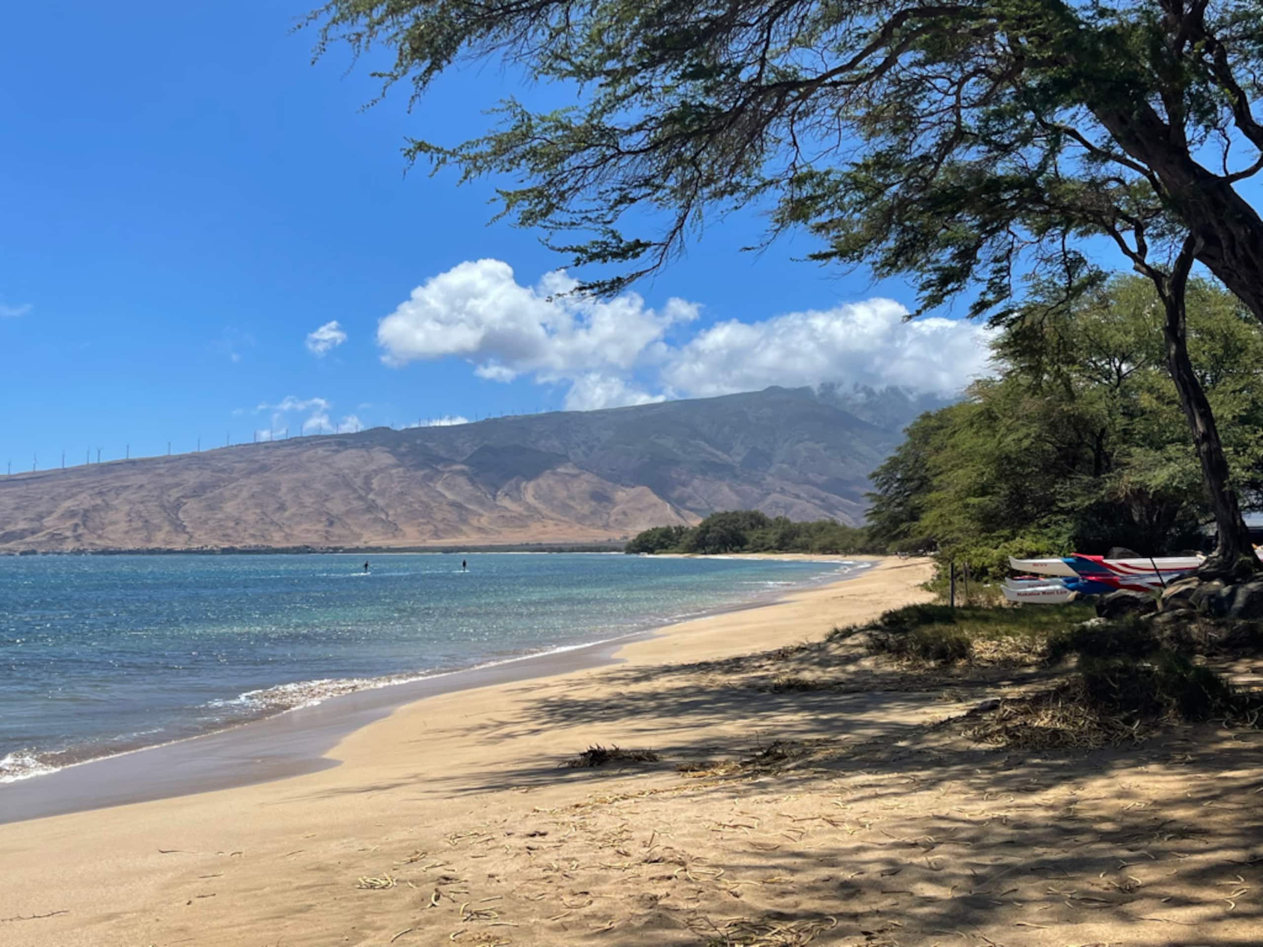 Condo in Wailuku · ★5.0 · 1 bedroom · 2 beds · 1 bath - Image 34