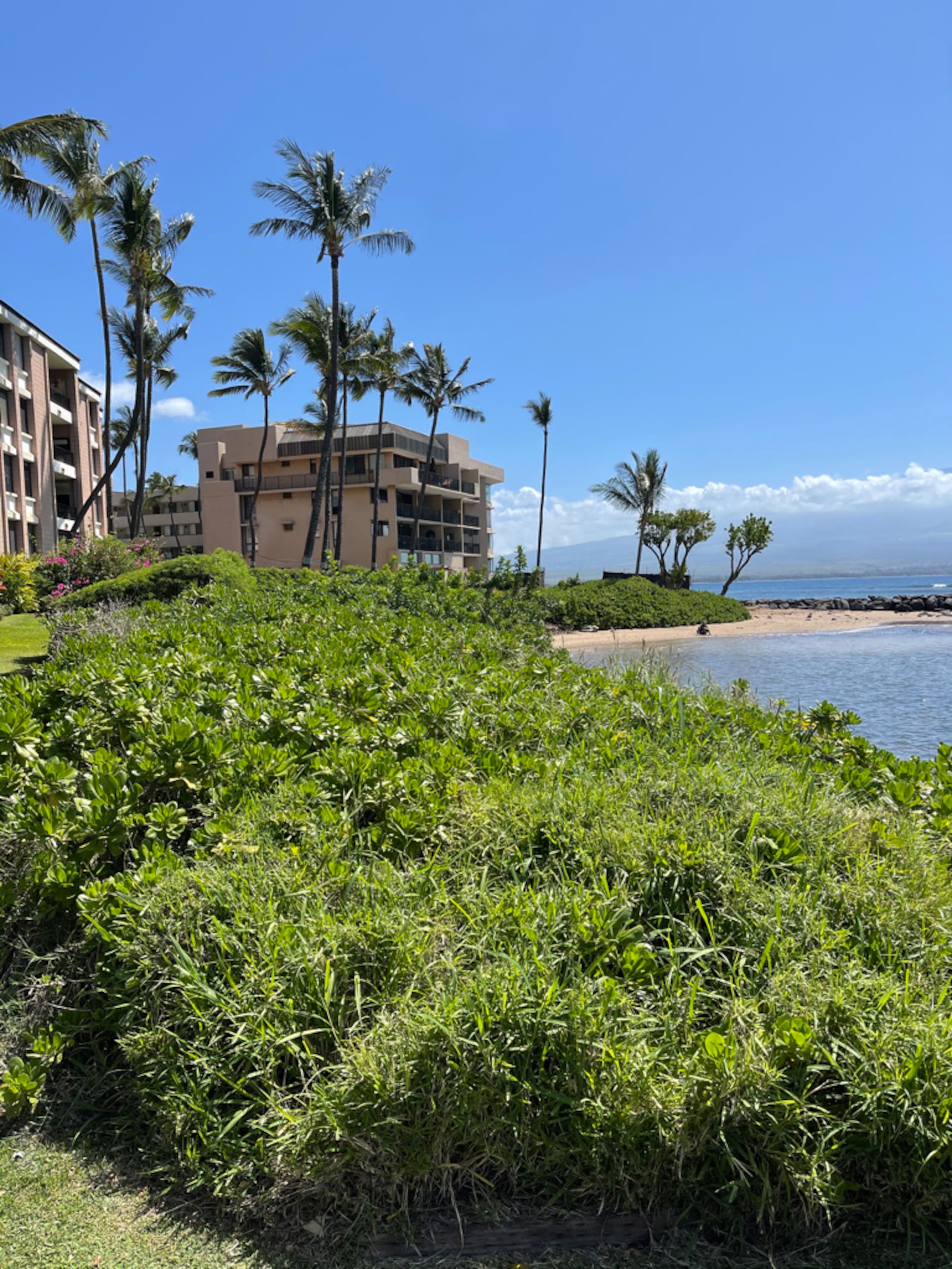 Condo in Wailuku · ★5.0 · 1 bedroom · 2 beds · 1 bath - Image 27