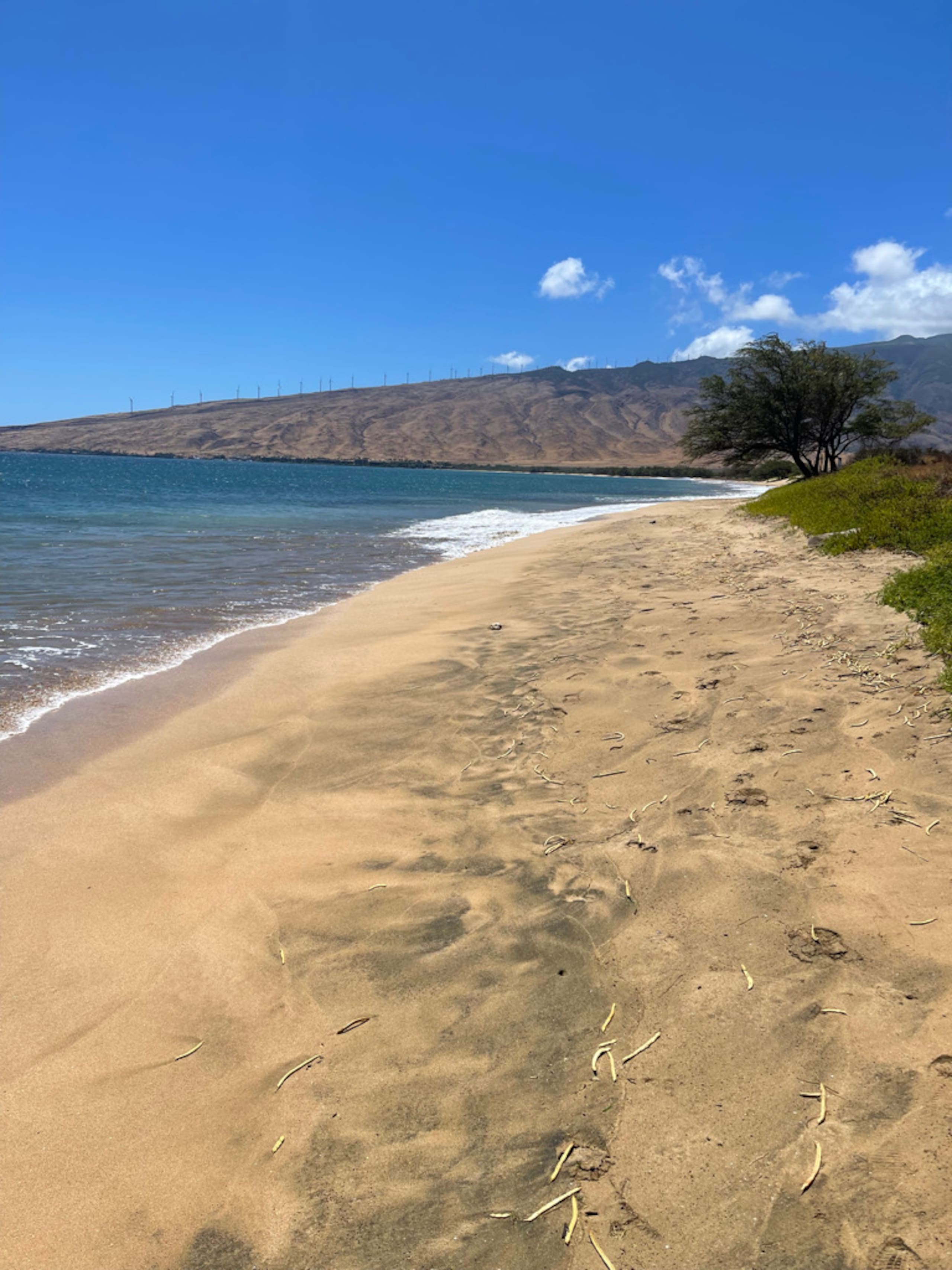Condo in Wailuku · ★5.0 · 1 bedroom · 2 beds · 1 bath - Image 36