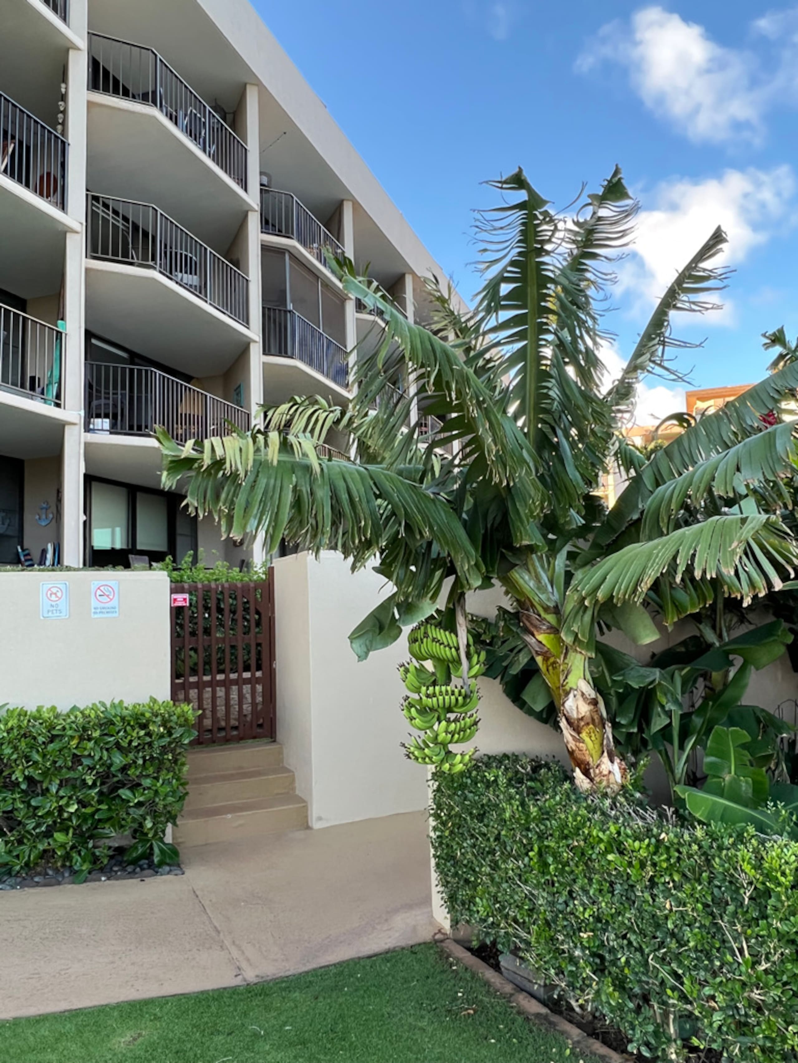 Condo in Wailuku · ★5.0 · 1 bedroom · 2 beds · 1 bath - Image 25