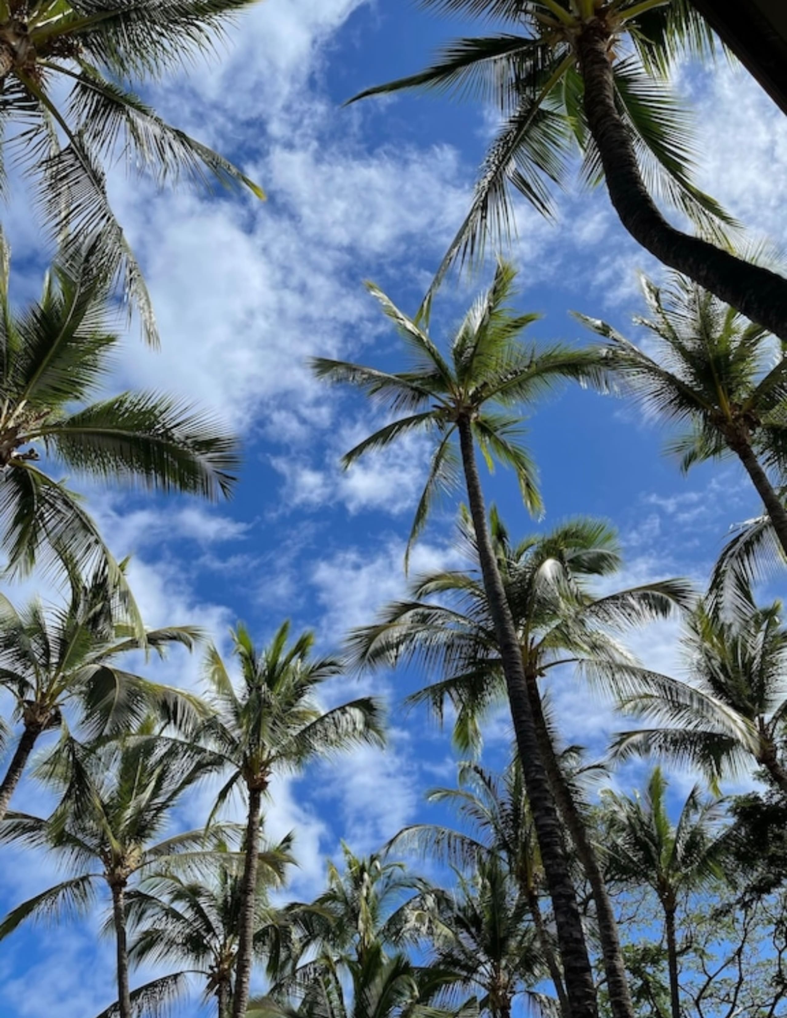 Condo in Wailuku · ★5.0 · 1 bedroom · 2 beds · 1 bath - Image 14