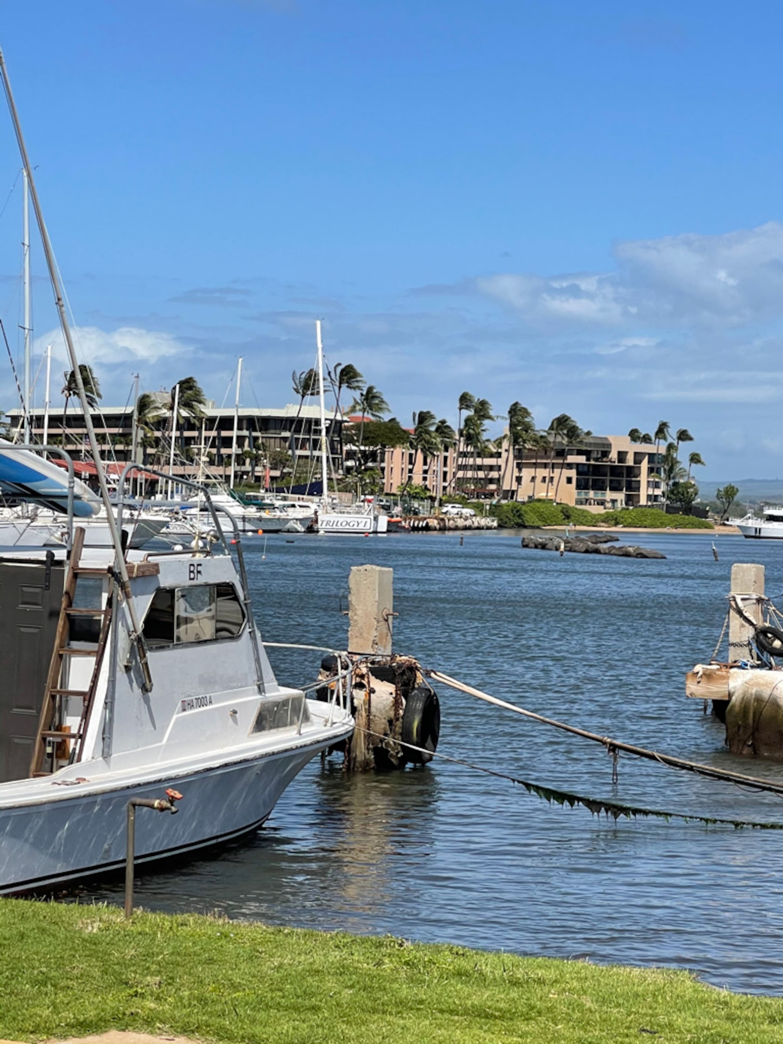 Condo in Wailuku · ★5.0 · 1 bedroom · 2 beds · 1 bath - Image 26