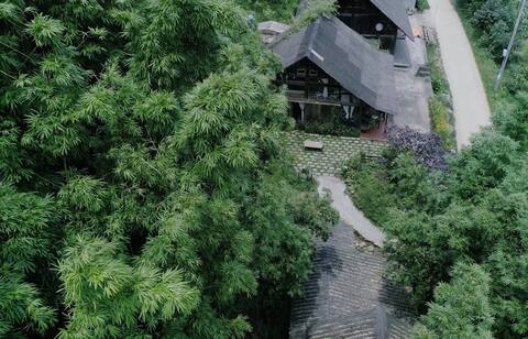 La Maison | All house in 100 YEARS Bamboo Forrest