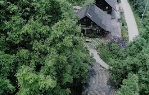 La Maison | All house in 100 YEARS Bamboo Forrest