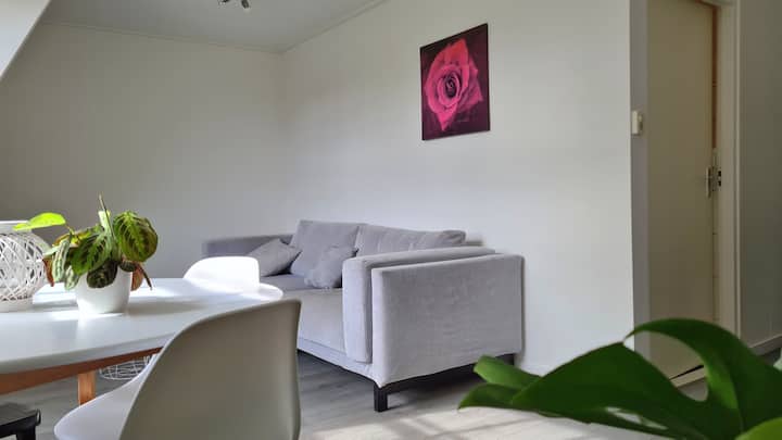 Studio In Kortgene - Zélande