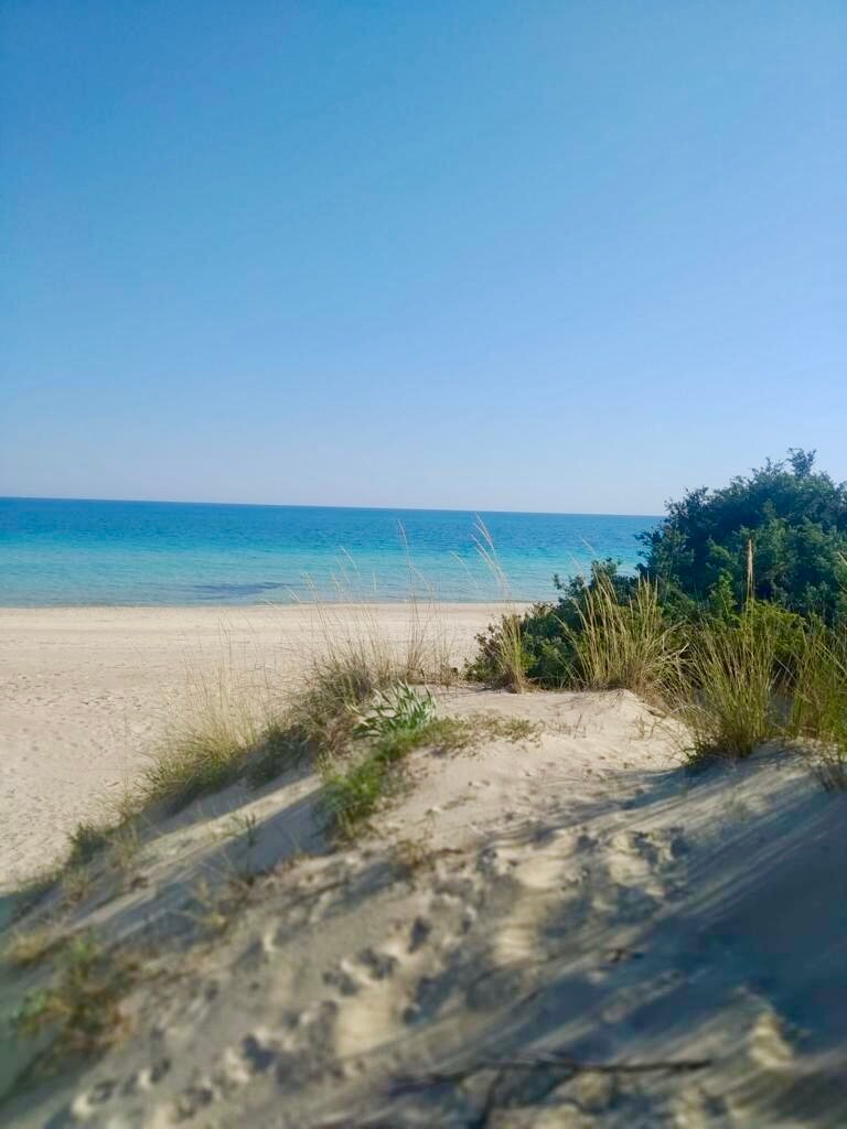 A sandy beach scene is captured, showcasing gentle sand dunes leading to a calm turquoise sea. Lush greenery is visible on the dunes, and a clear blue sky stretches above. The peaceful shoreline suggests a serene environment for relaxation.