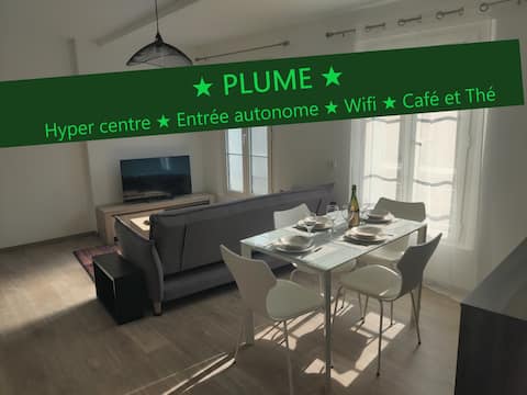 Apartment T3 ★FEATHER★ Hyper center of ERNÉE