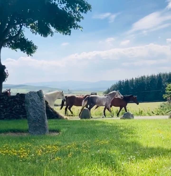 Wicklow Holiday Rentals & Homes Ireland Airbnb