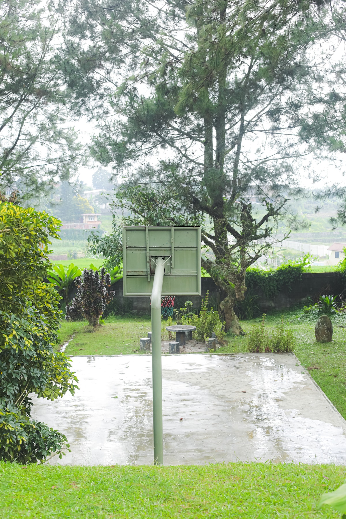 An outdoor area features a basketball hoop positioned above a smooth concrete surface. Lush greenery surrounds the space, with a variety of plants and trees creating a natural backdrop. The setting provides a serene environment, ideal for outdoor activities.