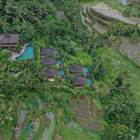GK Bali Private Pool Villa With Ricefield View