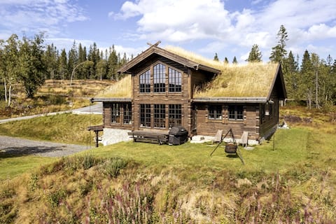 Mountain lodge with high standard