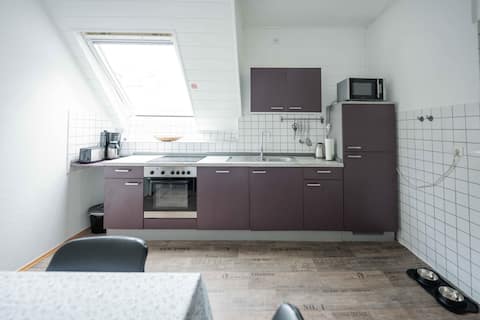 Apartment for 6 guests in the old town of Speyer