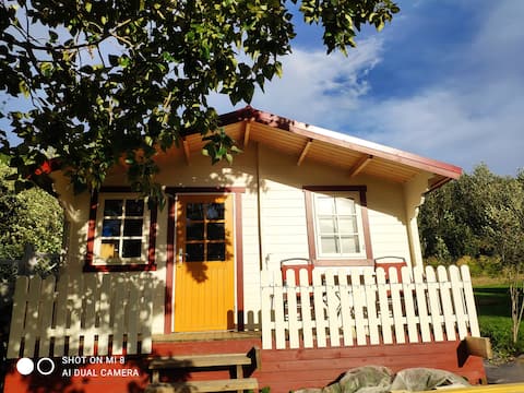 Small 1-bedroom cabin with free parking.