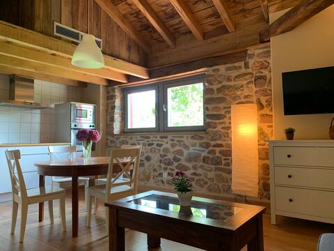 Successful Airbnb property: Casa Gaztanbidea - Xaguxar Apartment in Navarra