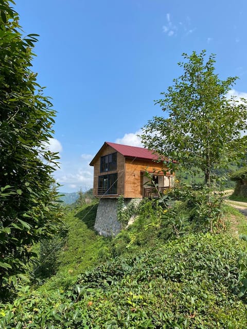 A unique view from the peak of nature to the storm valley..