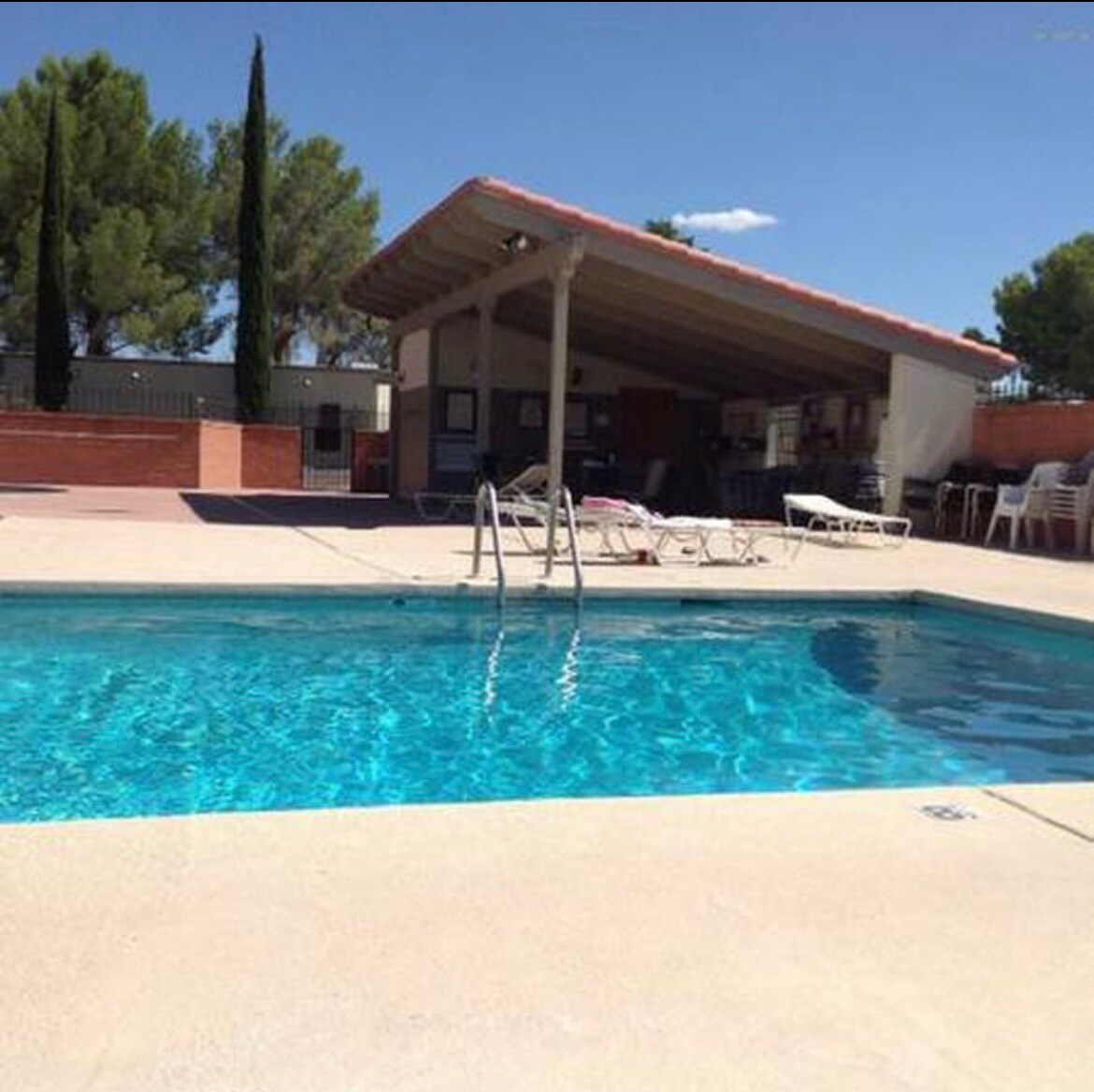 A bright swimming pool is surrounded by a spacious patio area. Lounge chairs are arranged under a covered seating area, providing shade. Tall trees line the background, enhancing the tranquil atmosphere of the outdoor space.