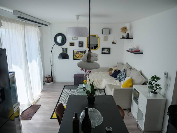 Home Cinéma, Terrasse & Parking - Lingolsheim