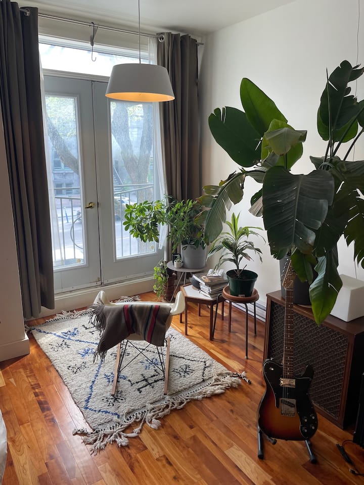 Lovely, Bright Plateau Loft - Montreal
