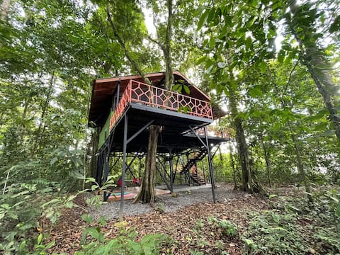 Hidden Tree House Sarapiqui