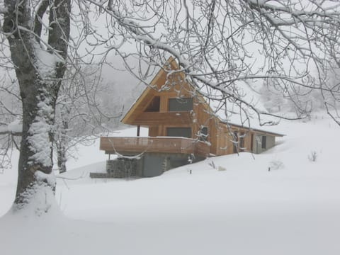 Contemporary chalet – eco-friendly cottage