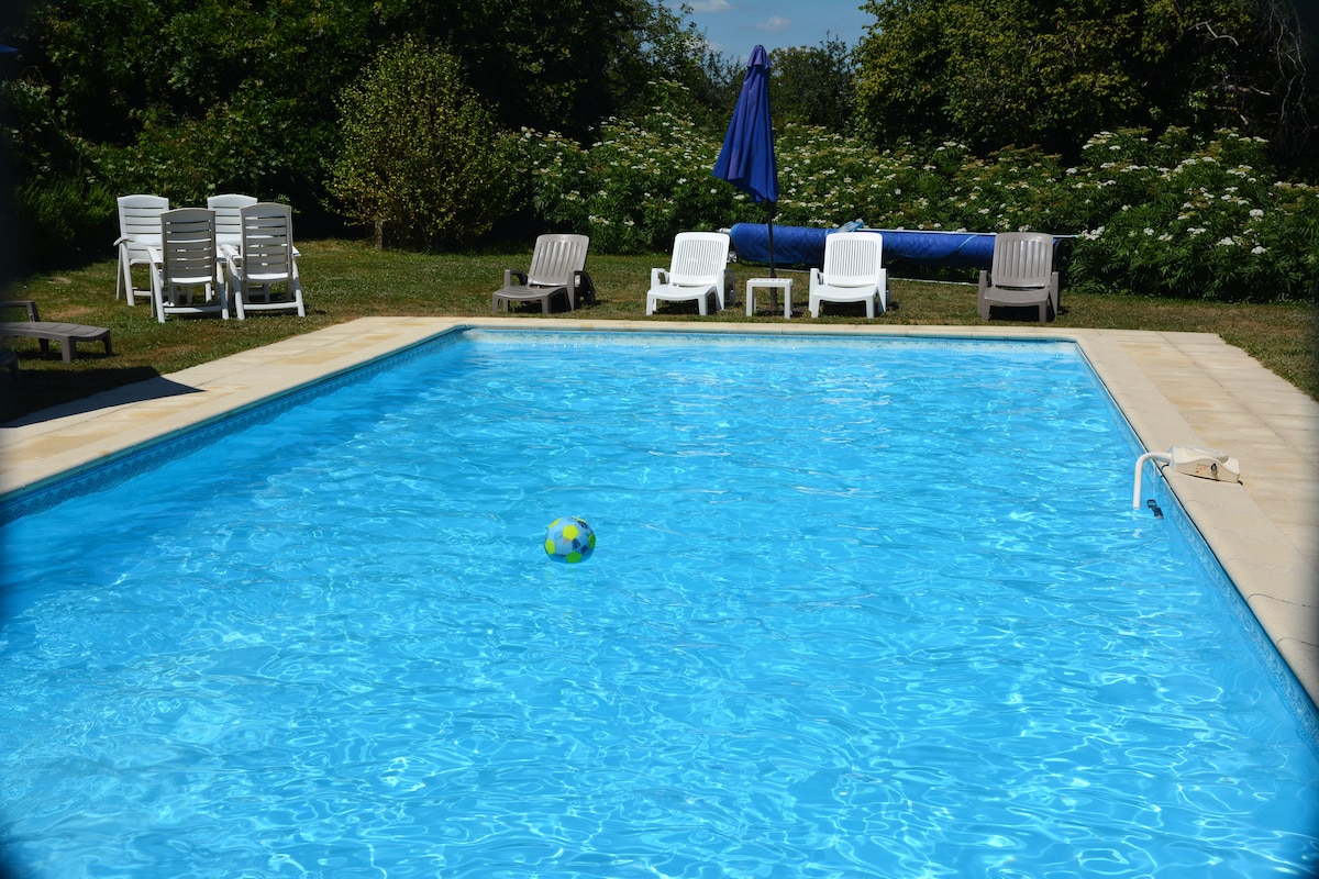 A clear swimming pool is surrounded by lounging chairs, including white and gray options. A blue umbrella provides shade beside the pool, which is accented by lush greenery in the background. A colorful ball floats gently on the water's surface.