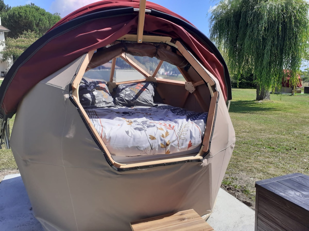 A geometric geodesic dome is shown, featuring an opening with clear PVC plastic for a view of the natural surroundings. A spacious bed with floral bedding is visible inside, providing a cozy sleeping area for two. The dome is situated in a grassy park setting.