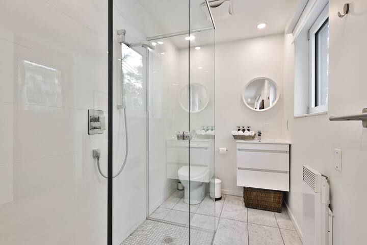 Luxury Townhome on the Park | Amazing Amenities gallery image 3