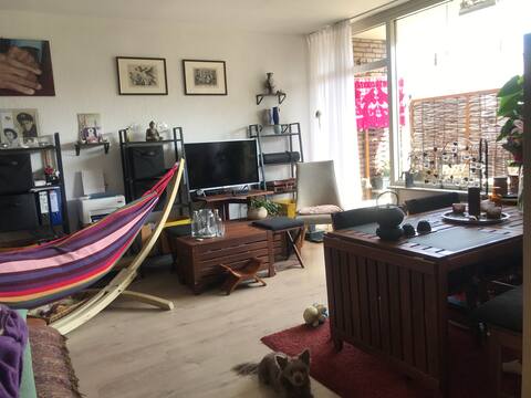 Simple apartamento Zen con dos gatos.