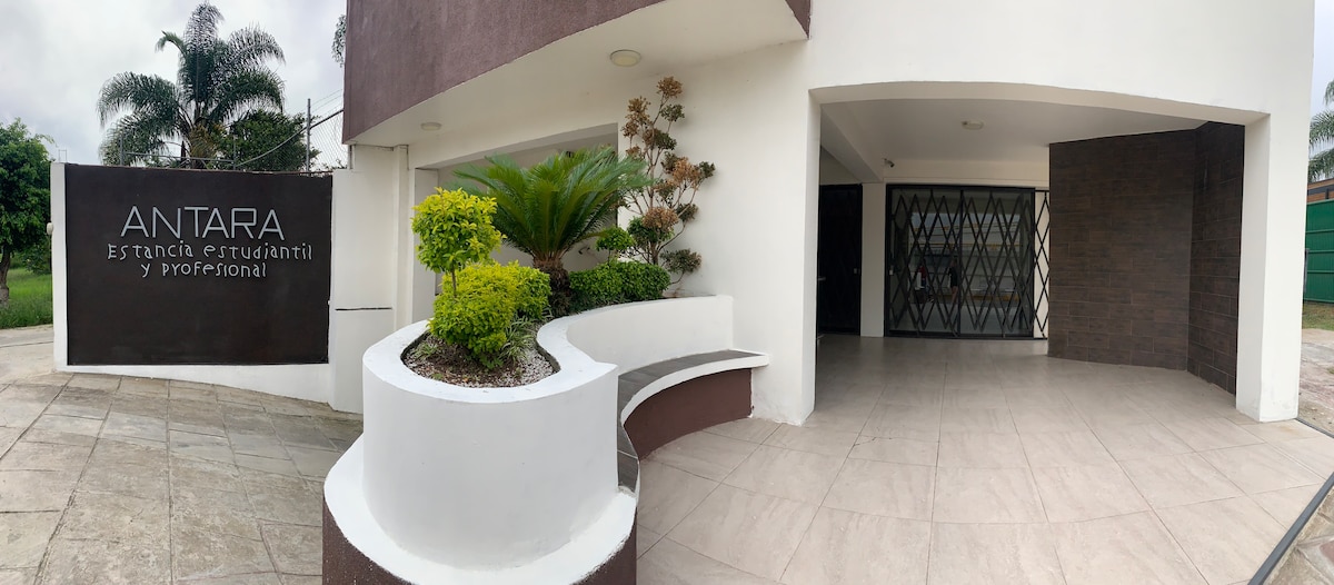 The inviting entrance features a curved white bench surrounded by green landscaping and decorative plants. A modern sign displays 'ANTARA Estancia Estudiantil y Profesional.' The area is well-lit, and large glass doors lead into the building, accentuated by a sleek dark wall.
